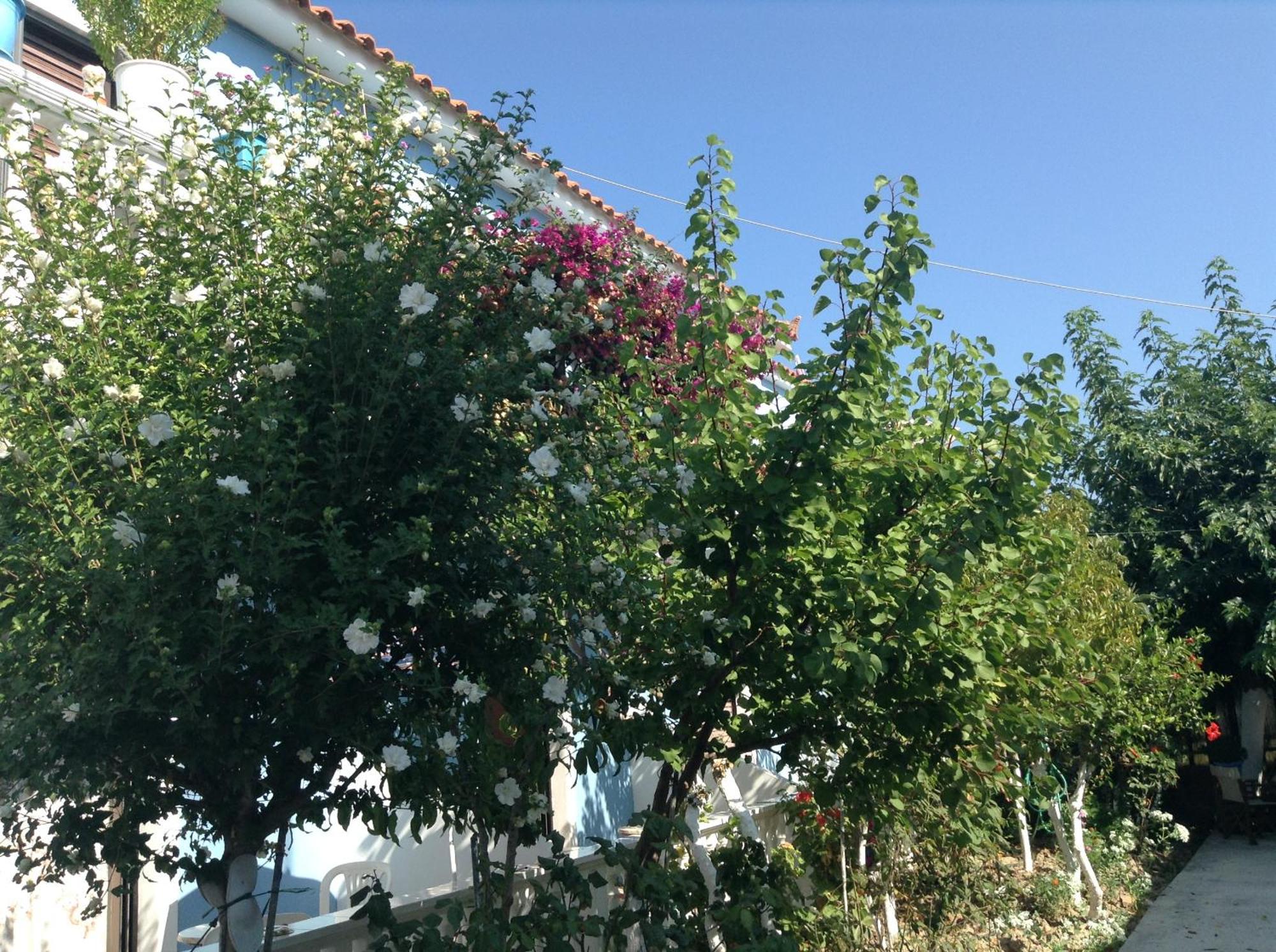 Dina Studios Καλαμάκι Εξωτερικό φωτογραφία