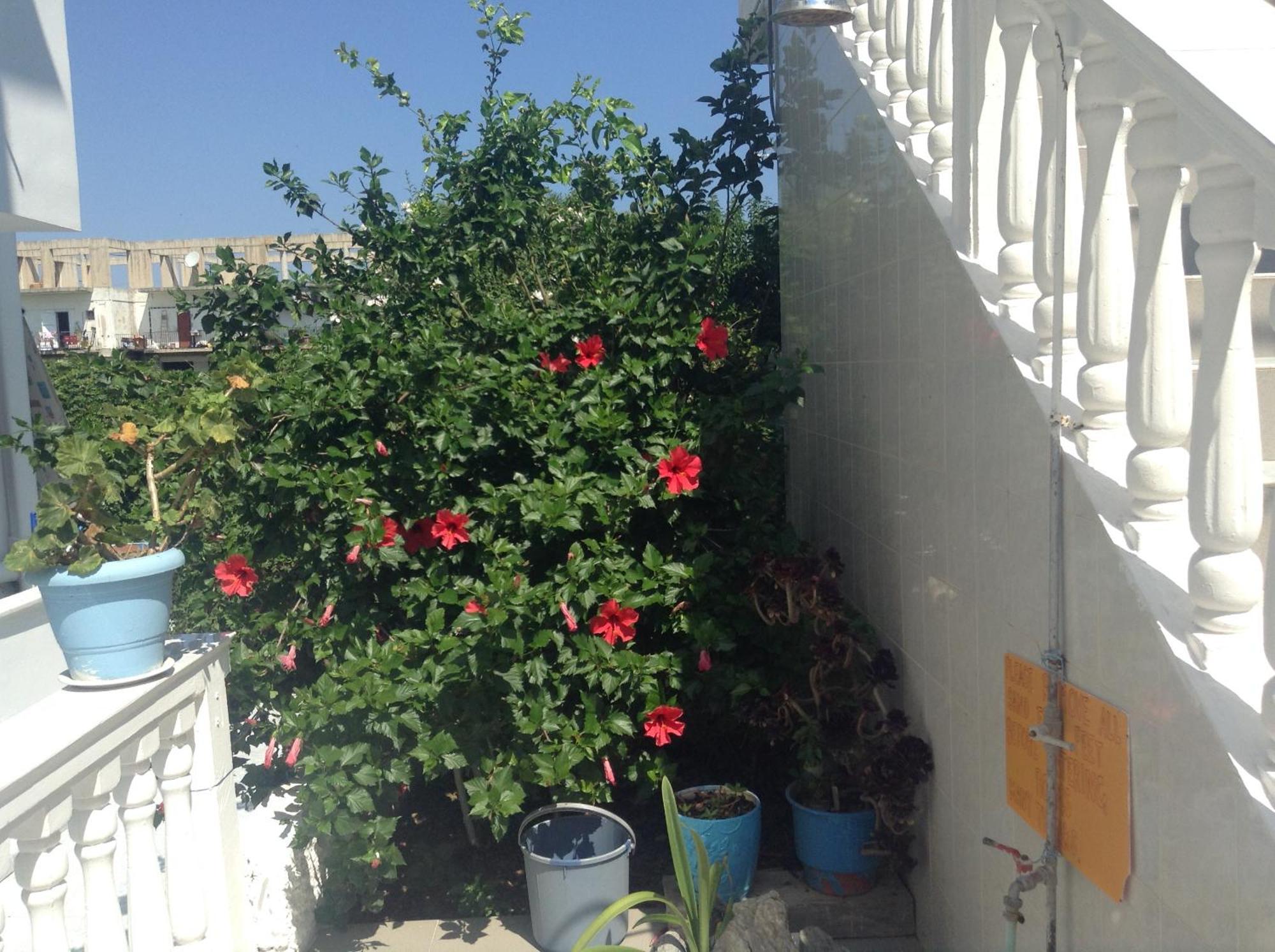 Dina Studios Καλαμάκι Εξωτερικό φωτογραφία